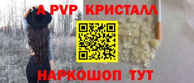 стаф Анжеро-Судженск